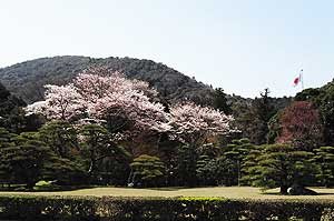 Scenery at Naiku - photo by Ryan Cole