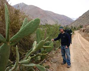 Cacti dot the Elqui’s dry landscape.