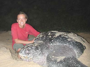 Nature Seeker volunteer Gretchen Luna with a laying leatherback turtle named Sammy in Trinidad and Tobago. Photos by Ginger Warder