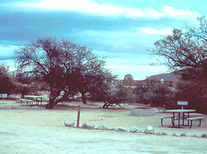 Campsites at Vallecito County Campground are deep and level, and there is some greenery in this desert campground.