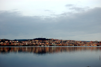 Morning in the lagoon.