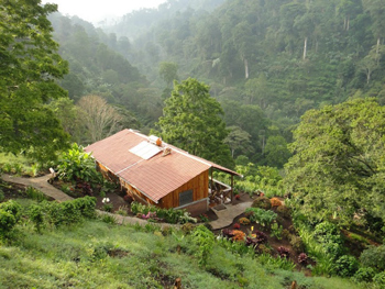 Cozy hut in the jungle where TAMF volunteers live.