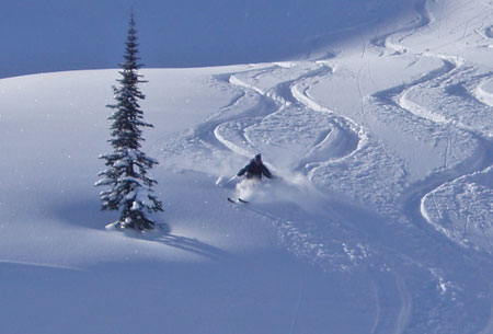 Skiing powder out west. 