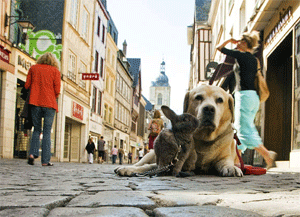 Dog and friend in Rouen, France. photo by Paul Shoul.