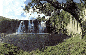 A waterfall in Mauritius.