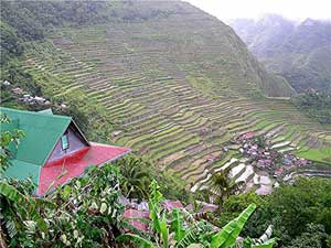 Rice terraces in Batad