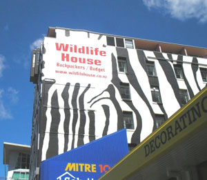 Wellywood Backpackers, formerly known as Wildlife House