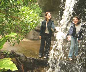 Visitors enjoy the waterfall at the Cleveland Botanical Gardens.