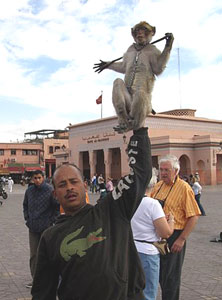 A street performer with his monkey