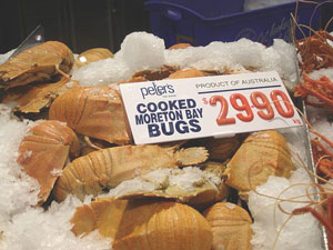 Moreton Bay bugs