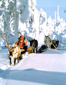 Riding in a reindeer sleight