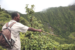 Chuck points out the view into the volcano.