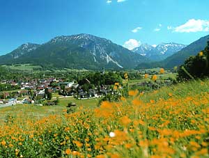 Bavarian Alps