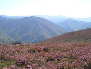 The route through Bierzo