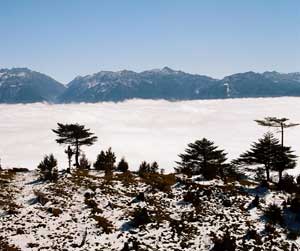 A sea of clouds and snow in the mountains above Tawang - photos by Lakshmi Sarath