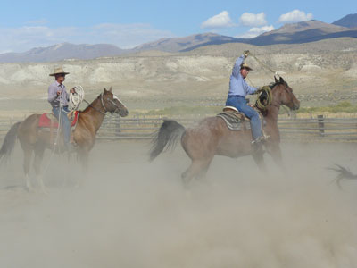 Kicking up some dust