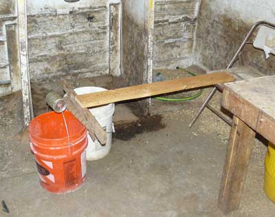 A better mousetrap: the can is covered with peanut butter, causing the mouse to run up the board and fall into the bucket.