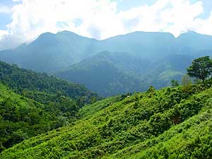 View along the way of the mountain range and lush hillsides