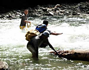 Trying to get through yet another river crossing - with rope and some teamwork