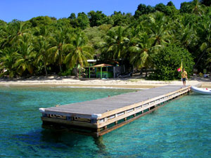 Manchioneel Bay, Cooper Island