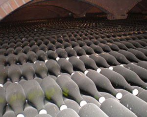 Bottles of champagne at the House of Drappier 
