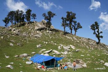 The tea shop at Snowline