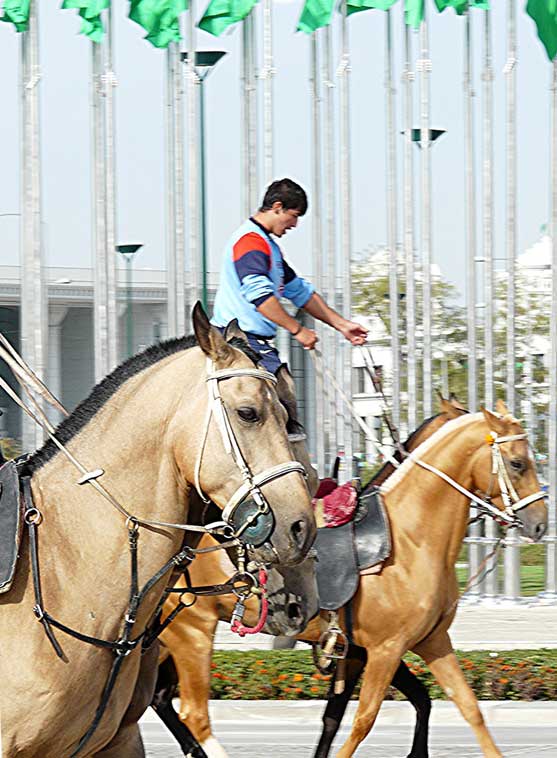 Turkmenistan is famous for its Akhal-Teke horses, the father of the modern thoroughbred.