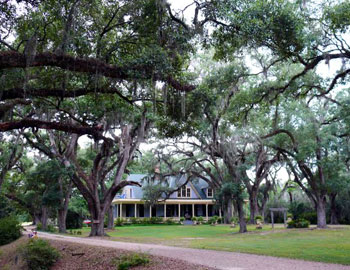 Approaching the main house at Butler Greenwood Plantation. Photo by Henry Cancienne.