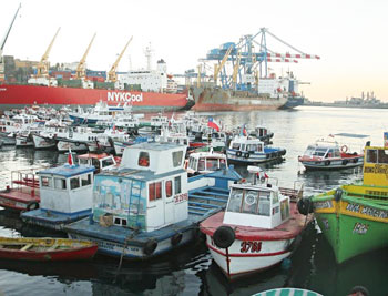 Some of the small fishing and tourist boats that share dock space with massive cargo ships, imposing naval boats and luxury cruise-liners in the Valparaíso harbour.