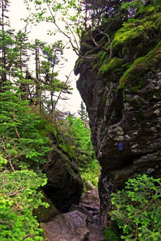 The slimy wet rocks of the Cliff Trail. This trail is rated "DDD" or "Very Difficult" by the Mount Mansfield Visitor's Guide.