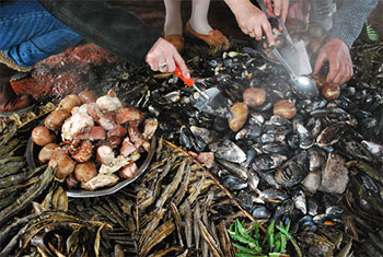 Curanto en Hoyo stew is a popular dish on Chiloé Island.