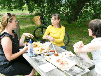 A picnic in the Wairarapa District of New Zealand