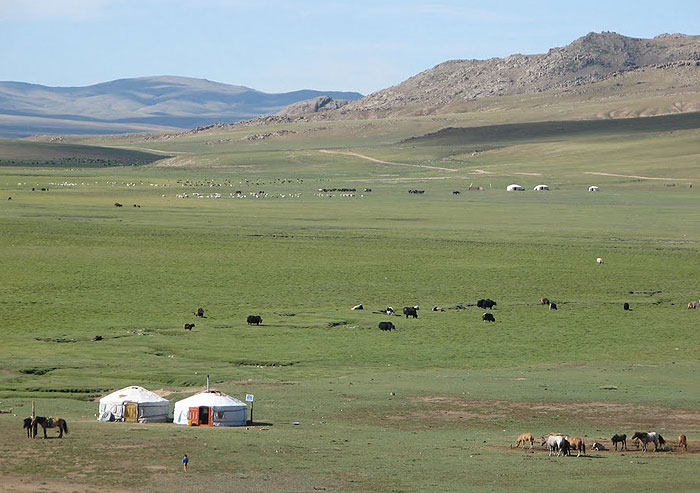 Mongolia in summer.