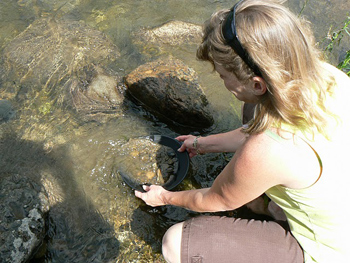 Panning for gold in Colomba, CA. 