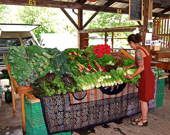 Certified organic produce from the Sacred Seed Farm at the Farmer's Market