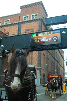 The Guinness Storehouse in Dublin. Photos by Bill Fink.