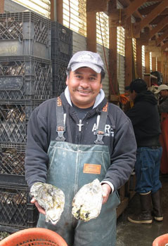 Migel shows off the giant oysters, which are a delicacy in Taiwan