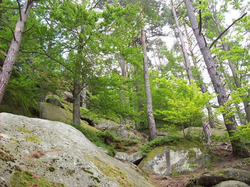 The natural beauty of Pulcinske Skaly in Wallachia, Czech Republic.