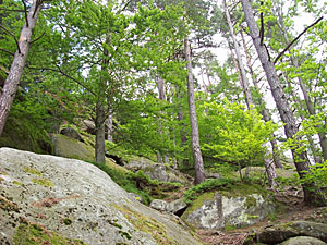 The natural beauty of Pulcinske Skaly