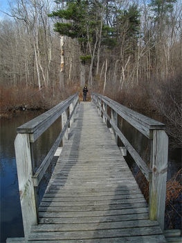 Pleasant Valley Wildlife Sanctuary in Lenox. photos by Joanna Eng.