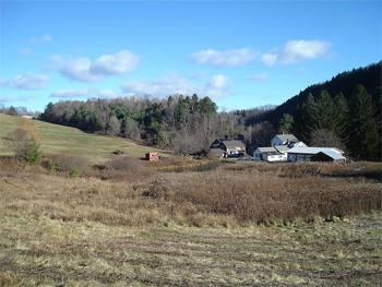 Pastoral view in Williamstown