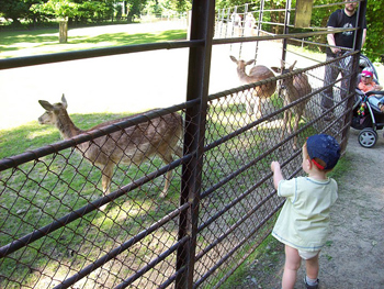 Kids fascinated by the animals, Chateau Gardens