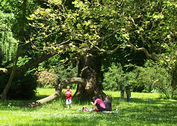 A local family out for a picnic, Chateau Gardens