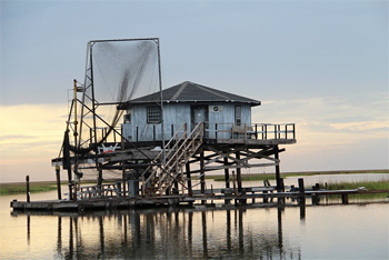 Camp in Chauvin Marsh