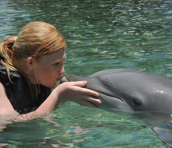The author kisses a dophin at the Dolphin Learning Center in Waikoloa Village on the Big Island of Hawaii.