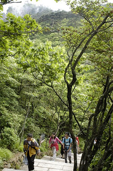 Hiking the long, long flight of stairs up to the top of Huangshan