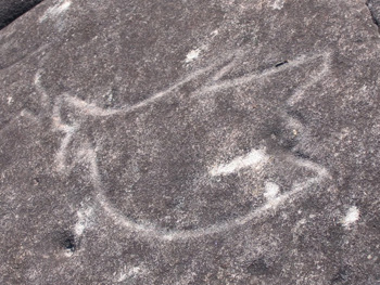 The aboriginal engravings on the Basin Trek