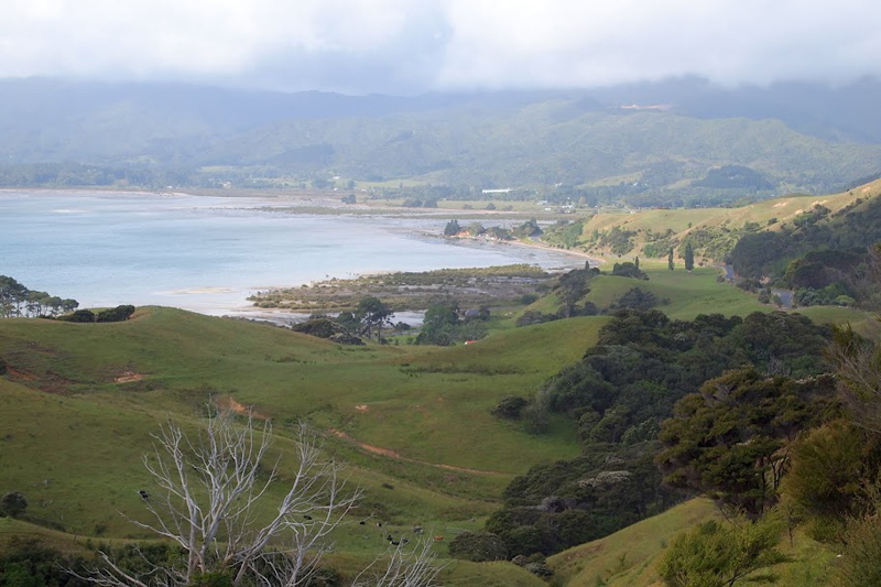 View of Coromandel Peninsula on the road to Coromandel Town. photos by Max Hartshorne.