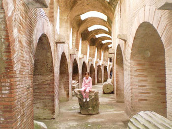 The Flavian Amphitheater