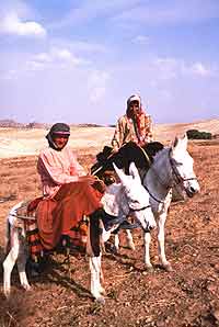 Dining with nomads